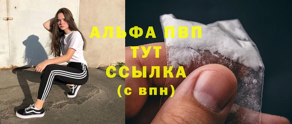 амф Богданович