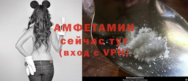 амф Богданович