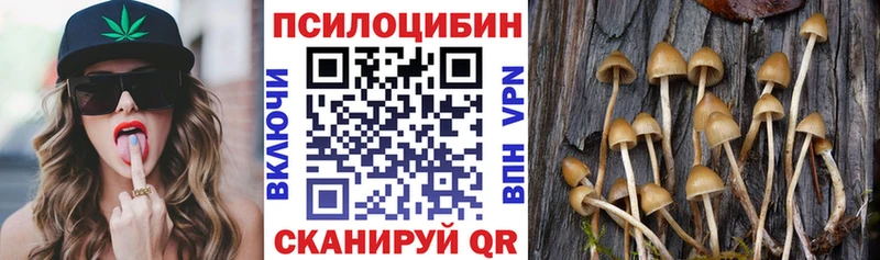 площадка состав  Колпашево  Галлюциногенные грибы Psilocybine cubensis 